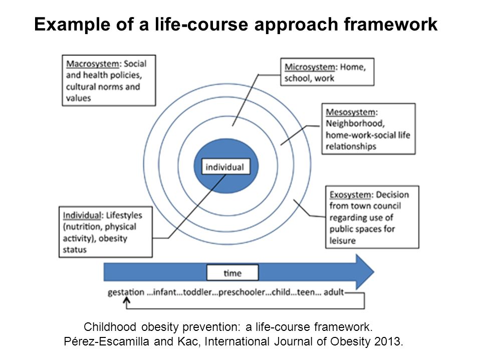 Example of a life-course approach framework