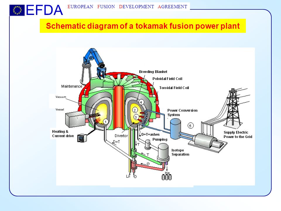 Schematic diagram of a tokamak fusion power plant