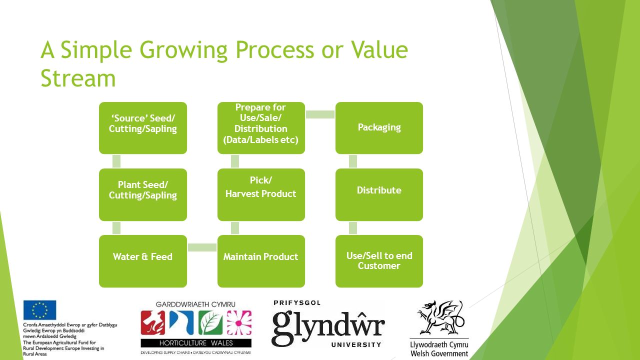 Business process procedure template sapling