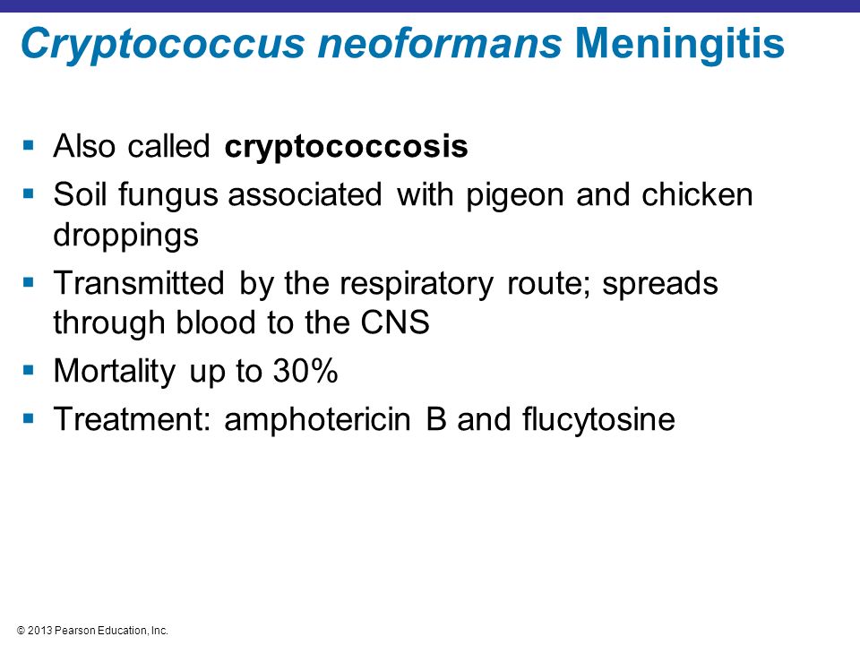 Cryptococcus neoformans Meningitis