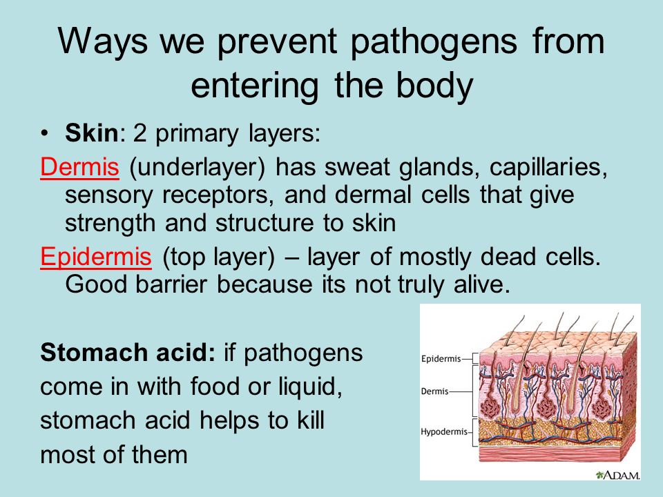 Ways we prevent pathogens from entering the body