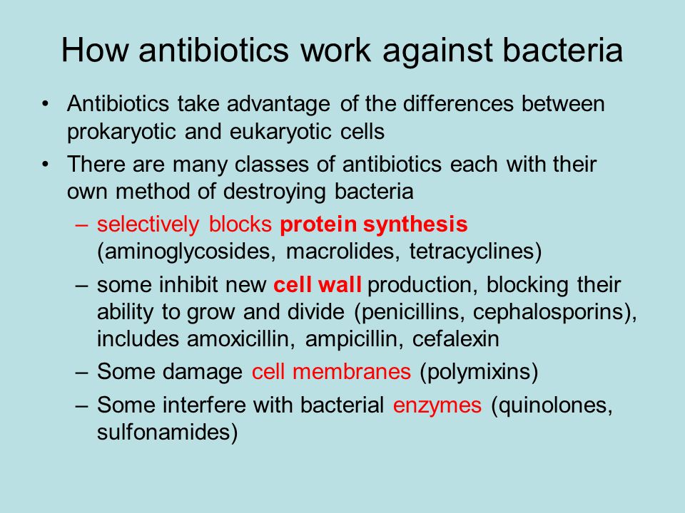 How antibiotics work against bacteria