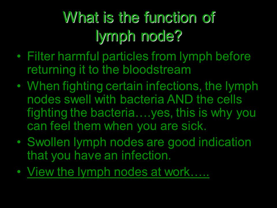 Lymphatic System Ppt Download
