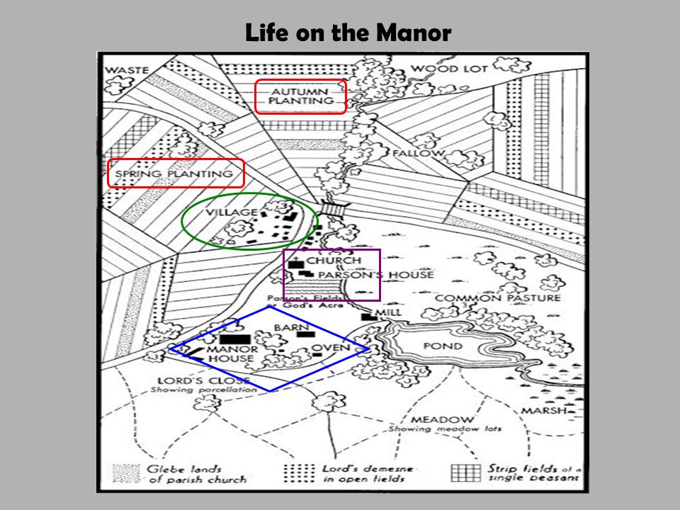 Life on the Manor