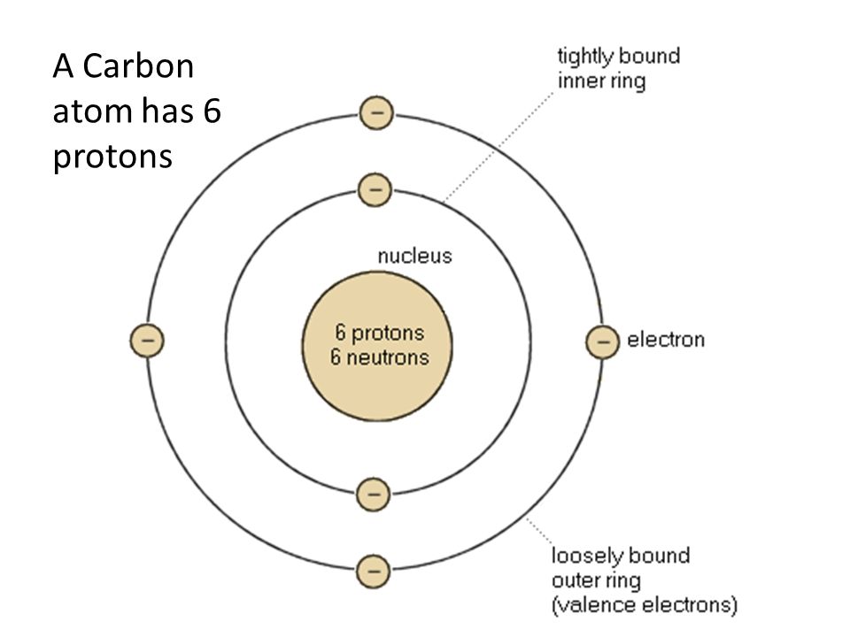 A Carbon atom has 6 protons