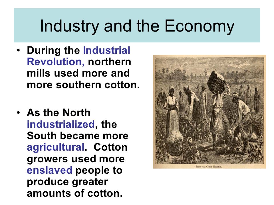 Industry and the Economy