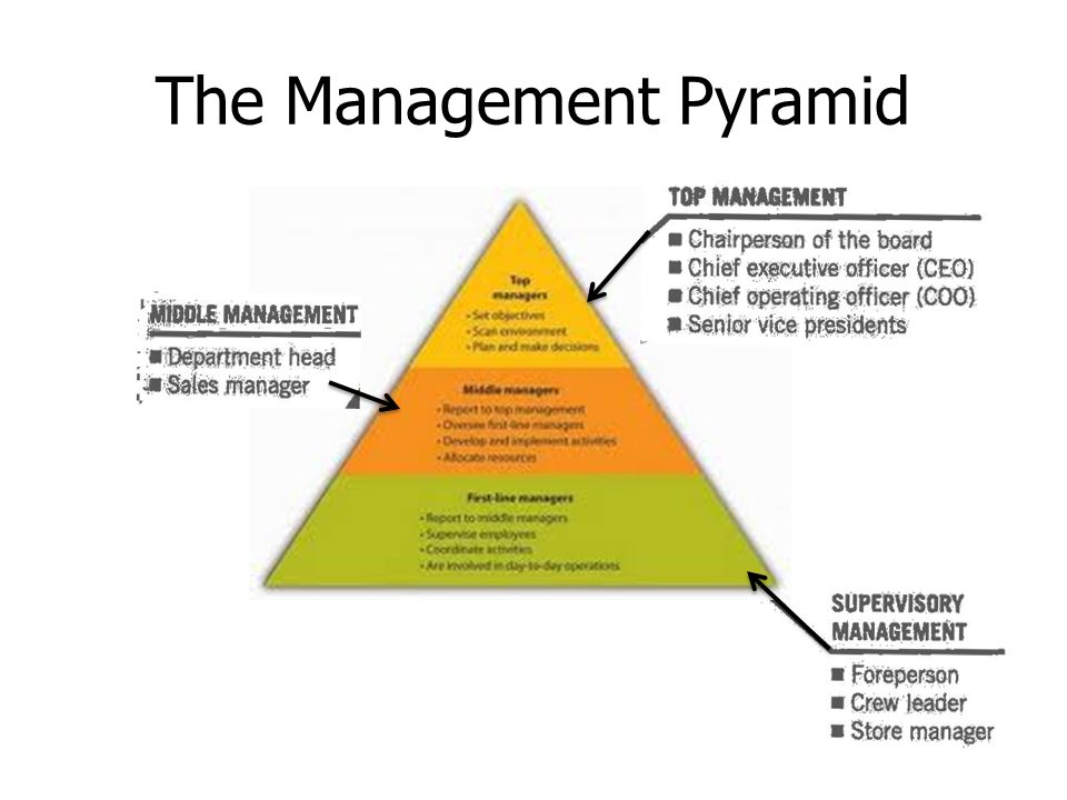 the management pyramid