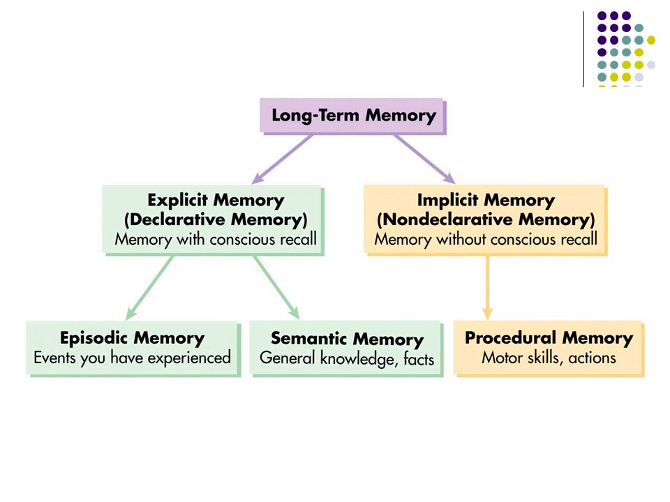 Long Term Memory Chart