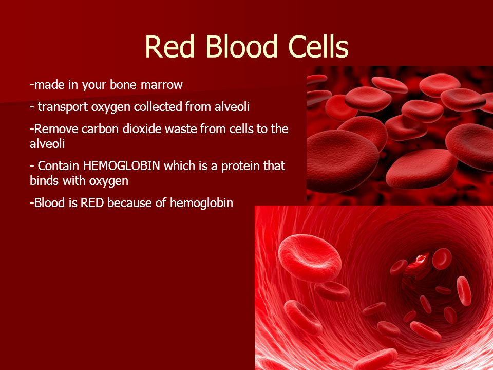 Red Blood Cells made in your bone marrow
