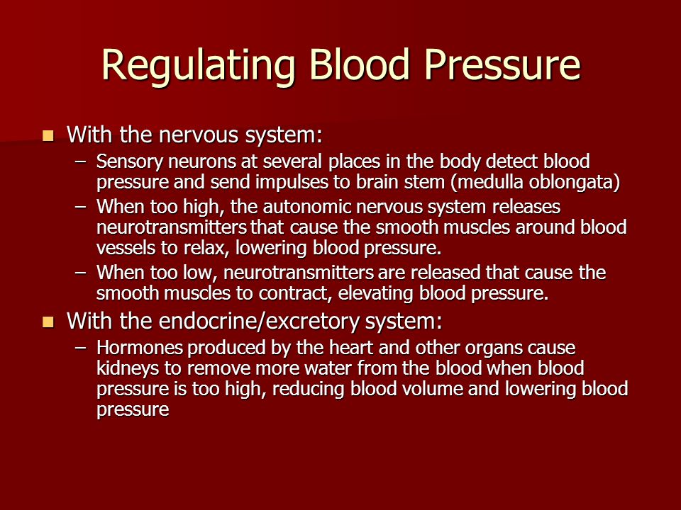 Regulating Blood Pressure