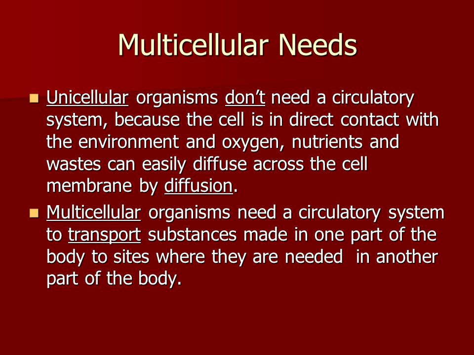 Multicellular Needs
