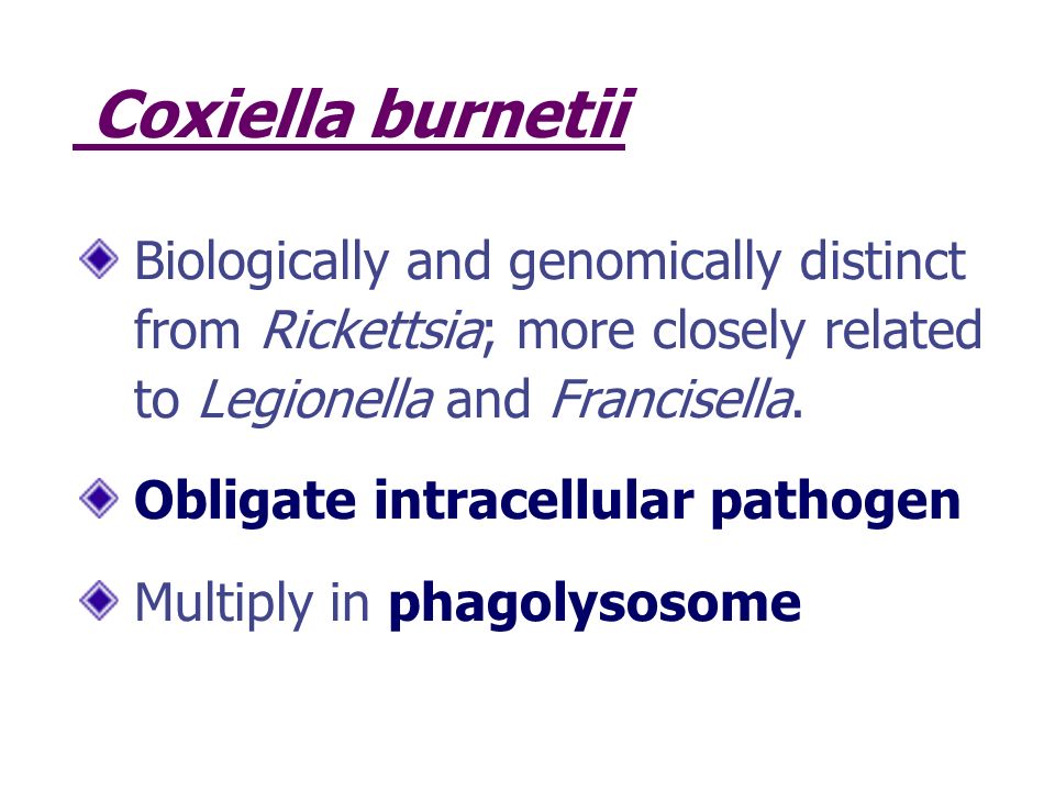 burnetii c online Ureaplasma Mycoplasma video download and ppt burnetii c online Ureaplasma Mycoplasma video download and ppt