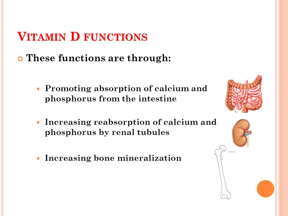 Vitamin D Rickets And Osteoporosis Ppt Video Online Download