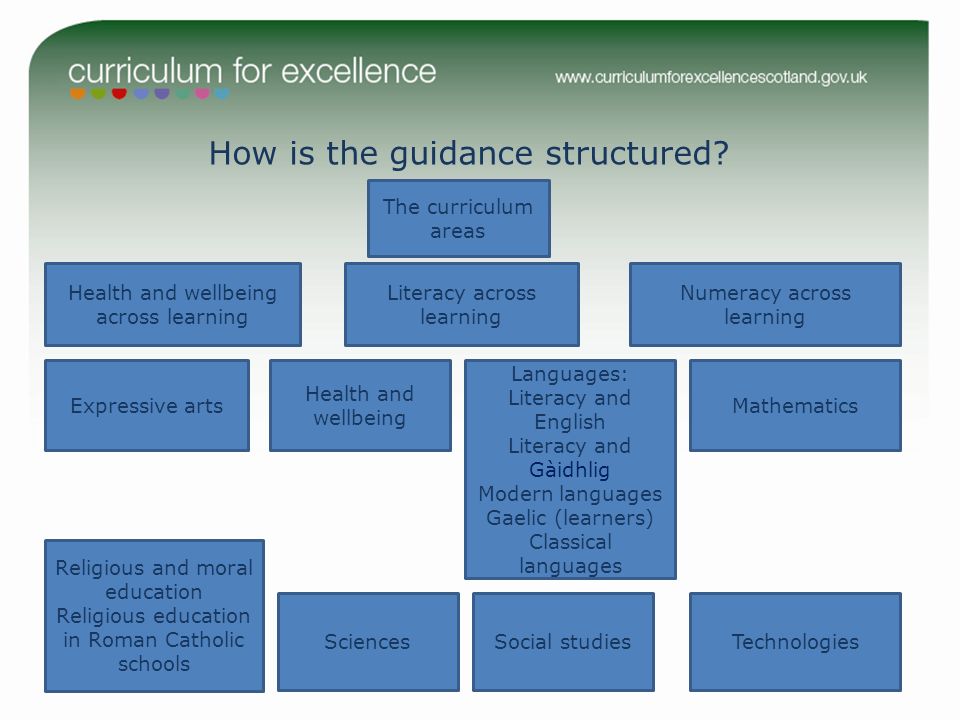 How is the guidance structured