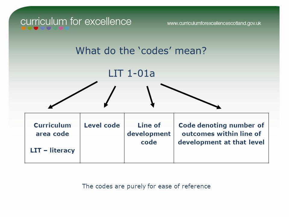 Line of development code