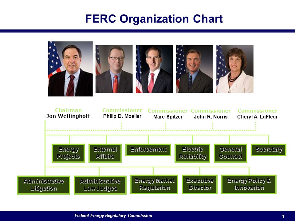 Ferc Organization Chart