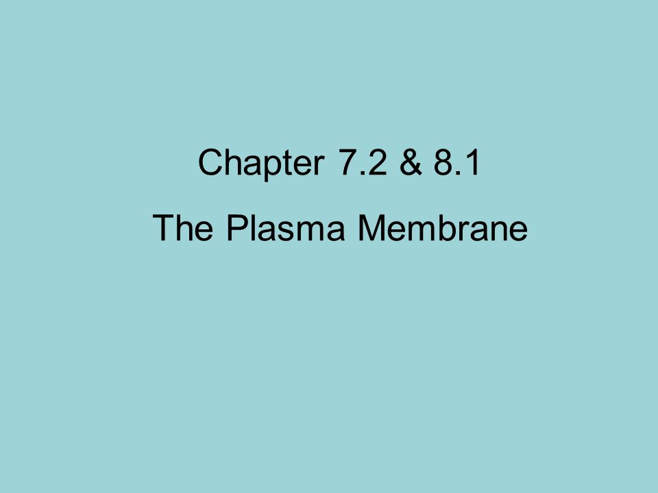 Chapter 7.2 & 8.1 The Plasma Membrane