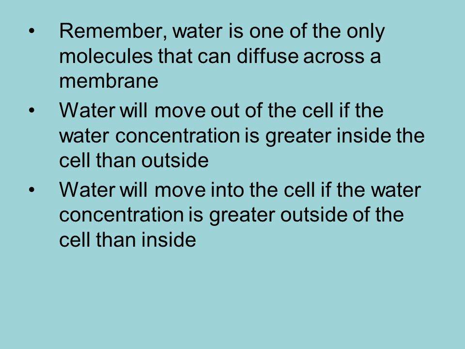 Remember, water is one of the only molecules that can diffuse across a membrane