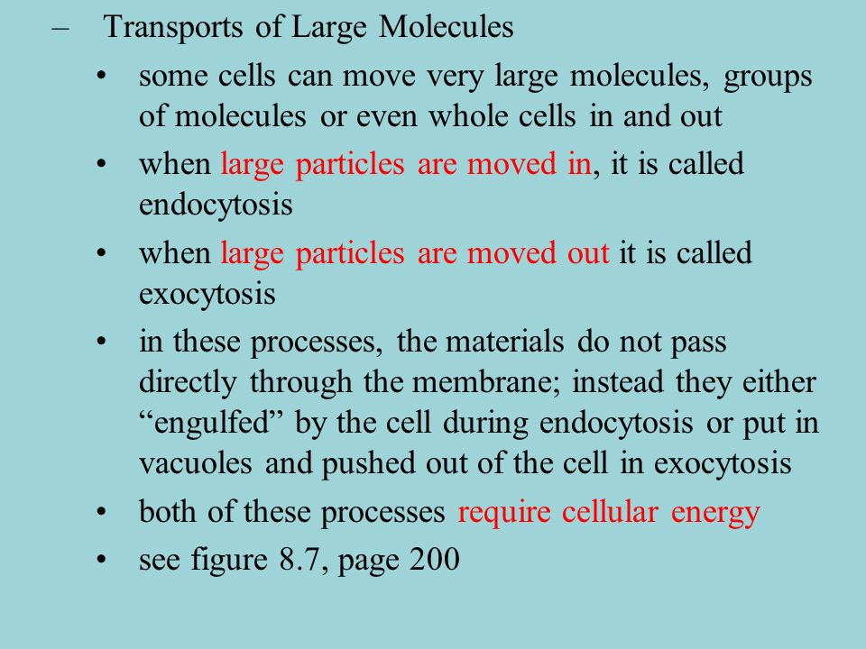 Transports of Large Molecules