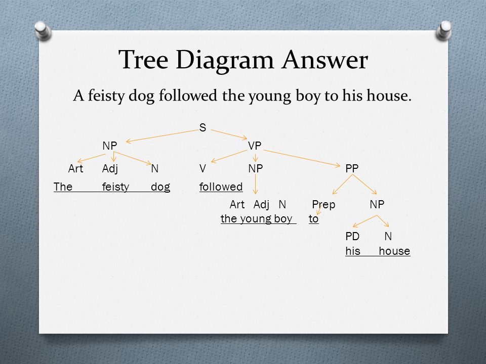 Tree Diagram Answer A feisty dog followed the young boy to his house.