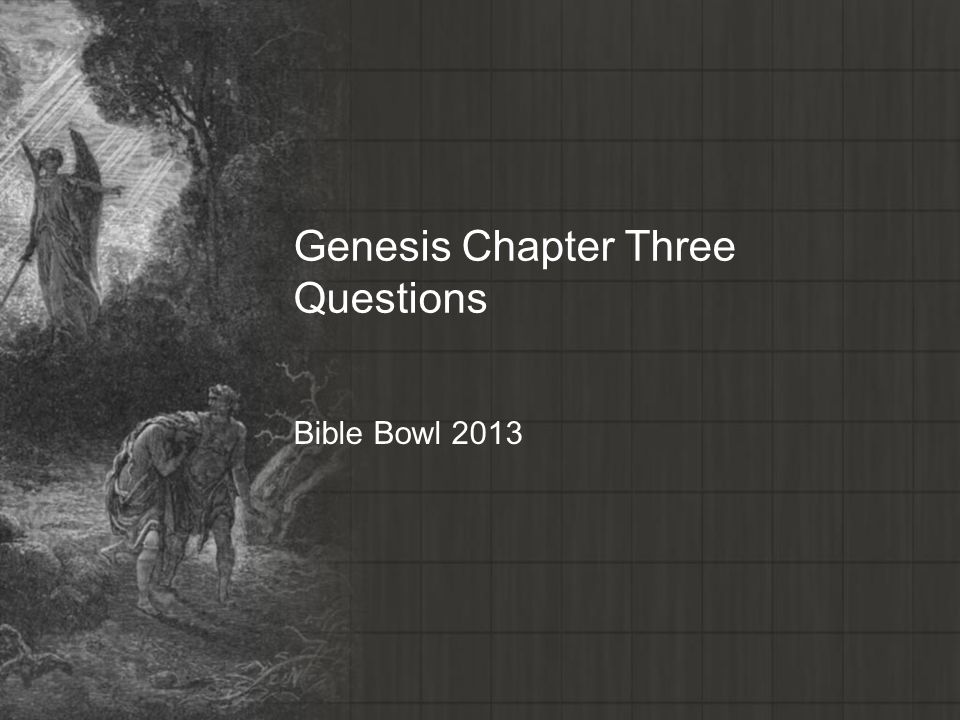 Genesis Chapter Three Questions