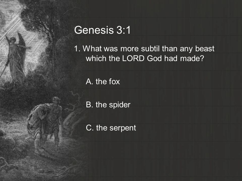 Genesis 3:1 1. What was more subtil than any beast which the LORD God had made A. the fox. B. the spider.