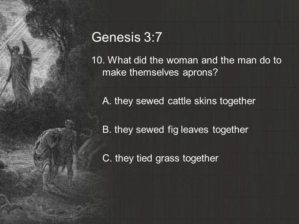 Genesis 3:7