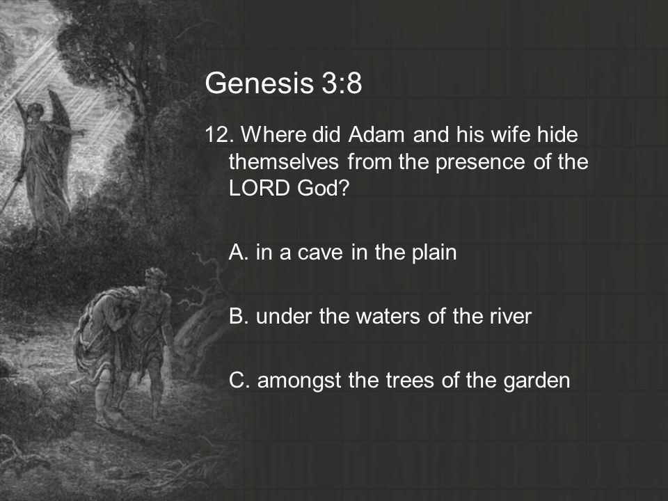 Genesis 3:8