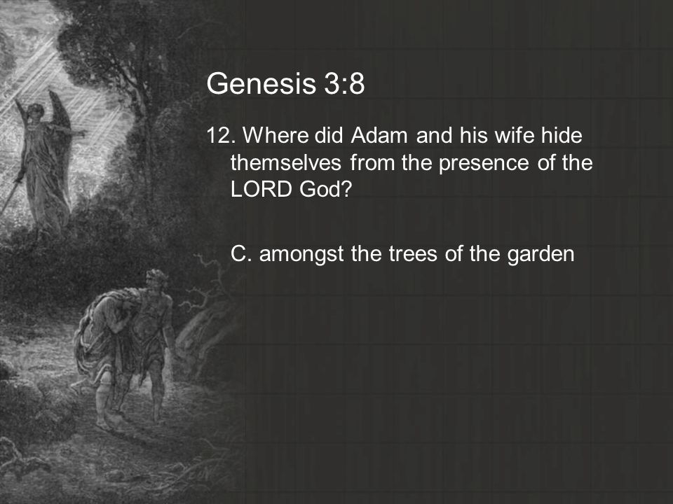 Genesis 3:8 12. Where did Adam and his wife hide themselves from the presence of the LORD God.