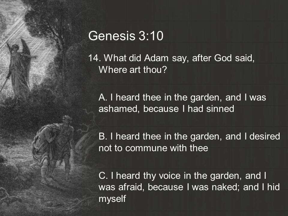 Genesis 3:10