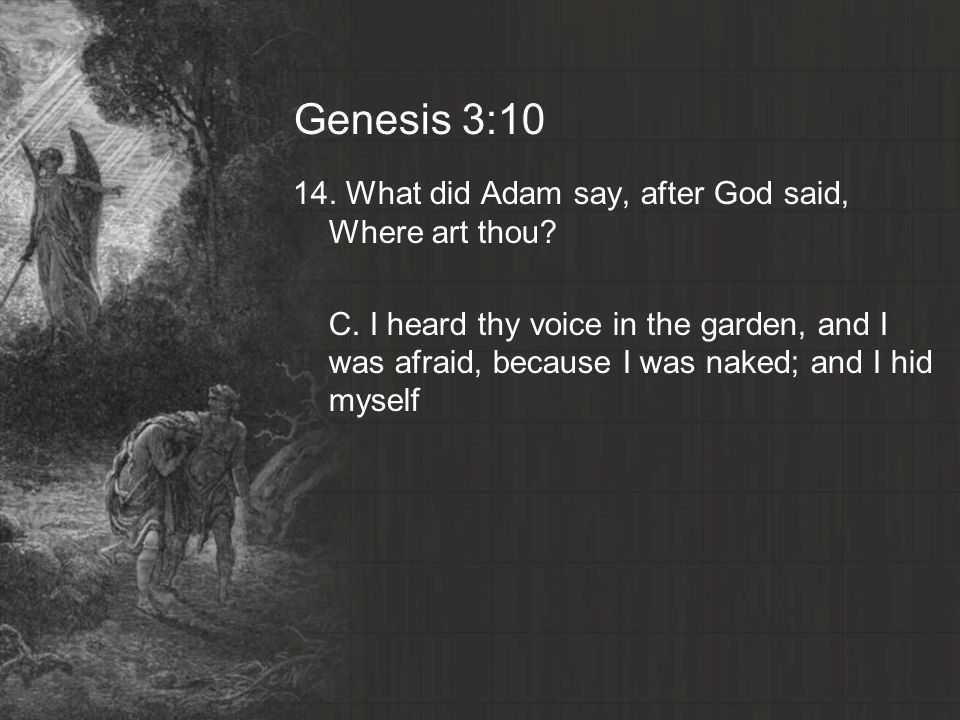 Genesis 3: What did Adam say, after God said, Where art thou