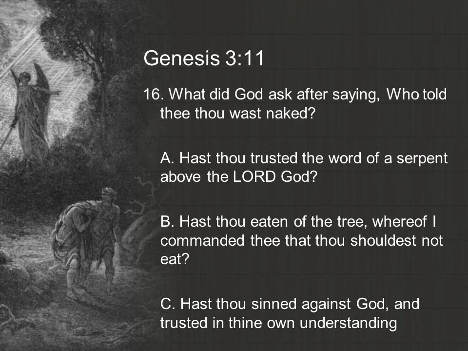 Genesis 3:11