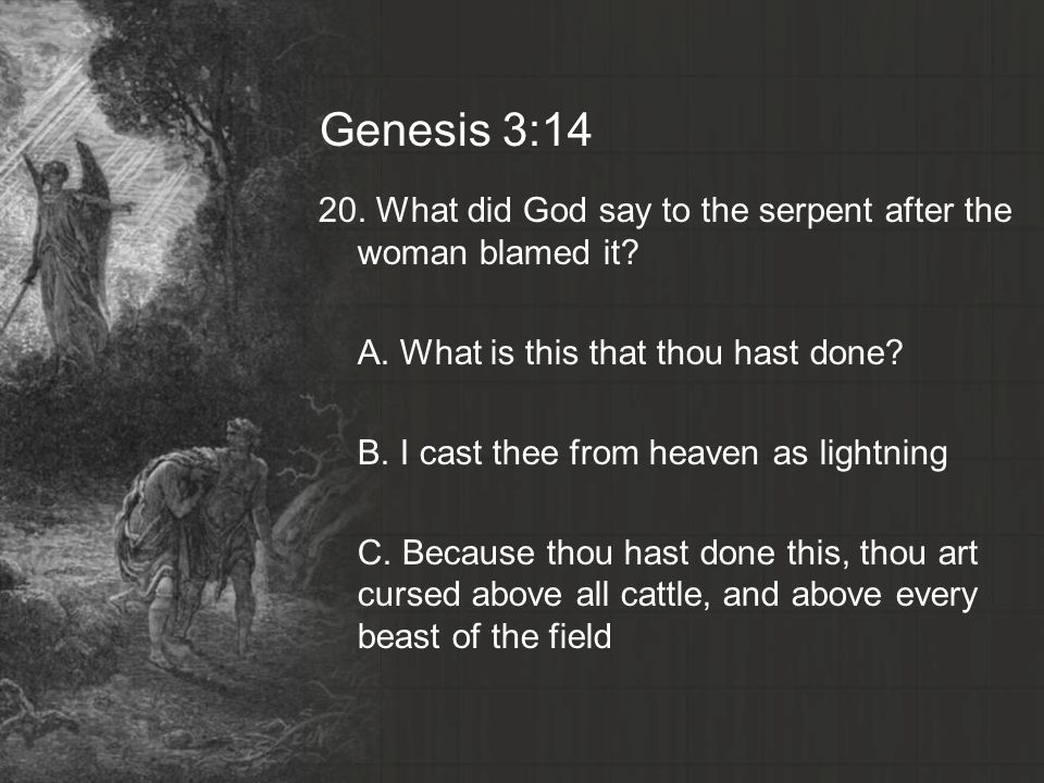 Genesis 3:14
