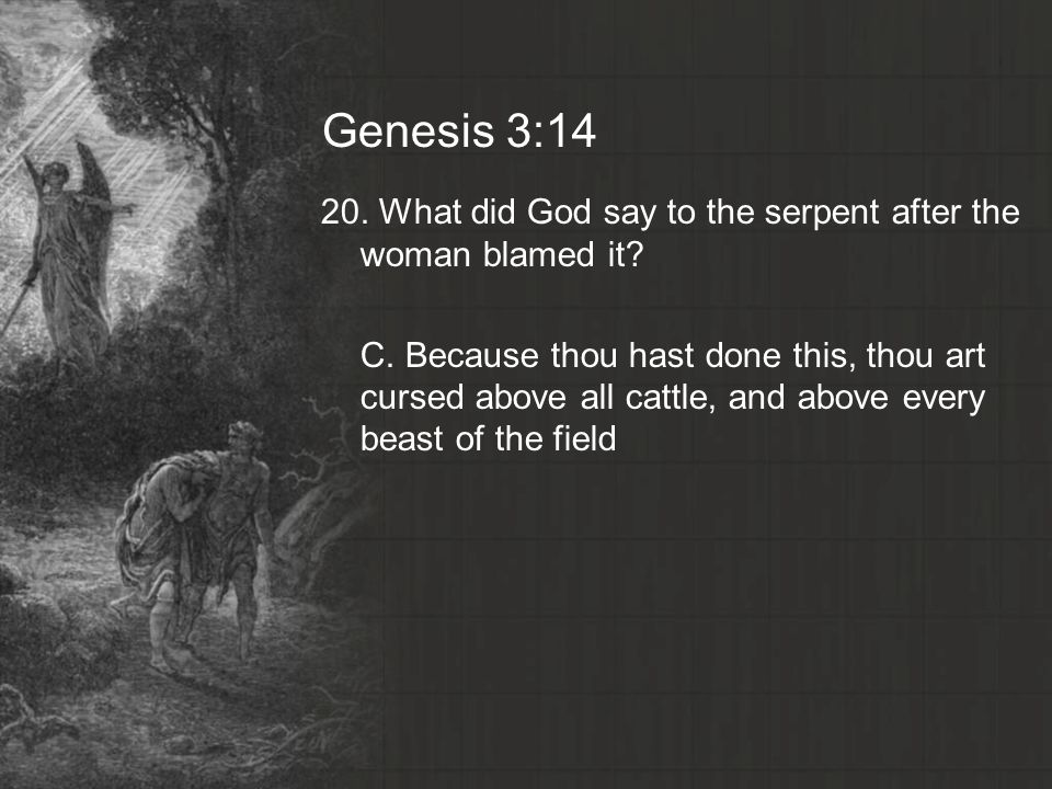 Genesis 3: What did God say to the serpent after the woman blamed it