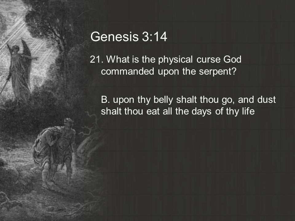 Genesis 3: What is the physical curse God commanded upon the serpent