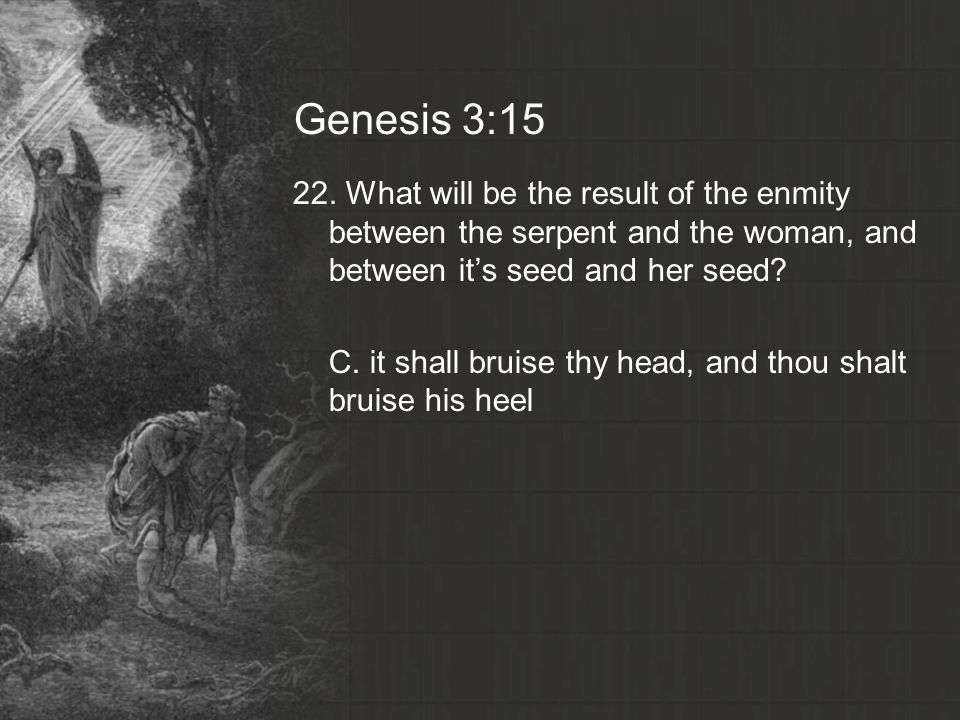 Genesis 3: What will be the result of the enmity between the serpent and the woman, and between it’s seed and her seed