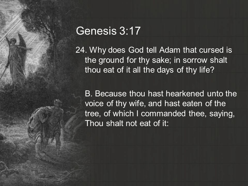 Genesis 3: Why does God tell Adam that cursed is the ground for thy sake; in sorrow shalt thou eat of it all the days of thy life