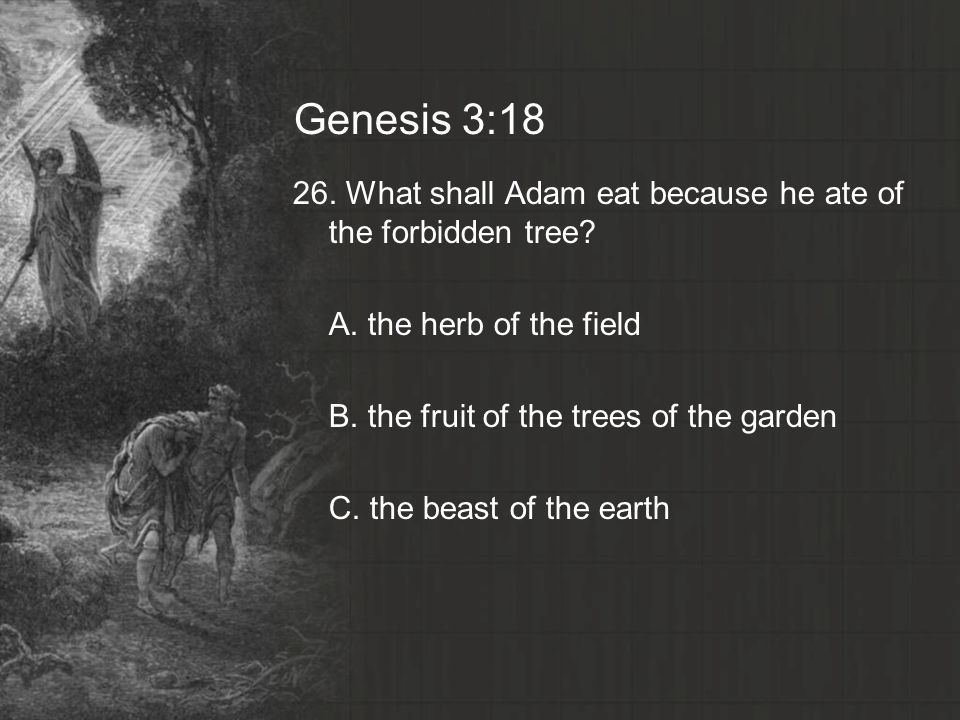 Genesis 3:18