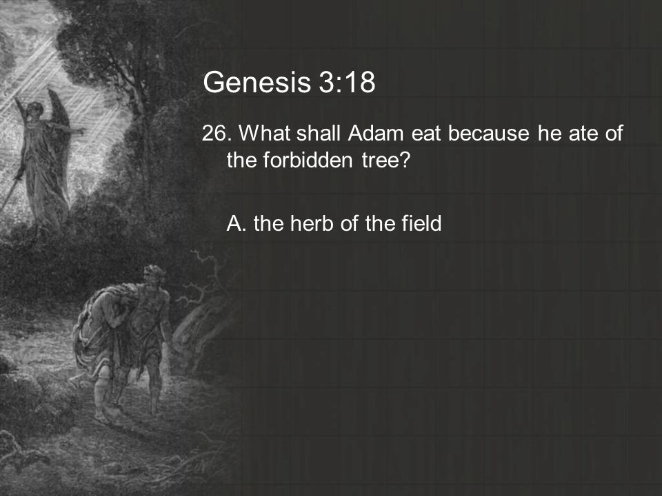 Genesis 3: What shall Adam eat because he ate of the forbidden tree A. the herb of the field