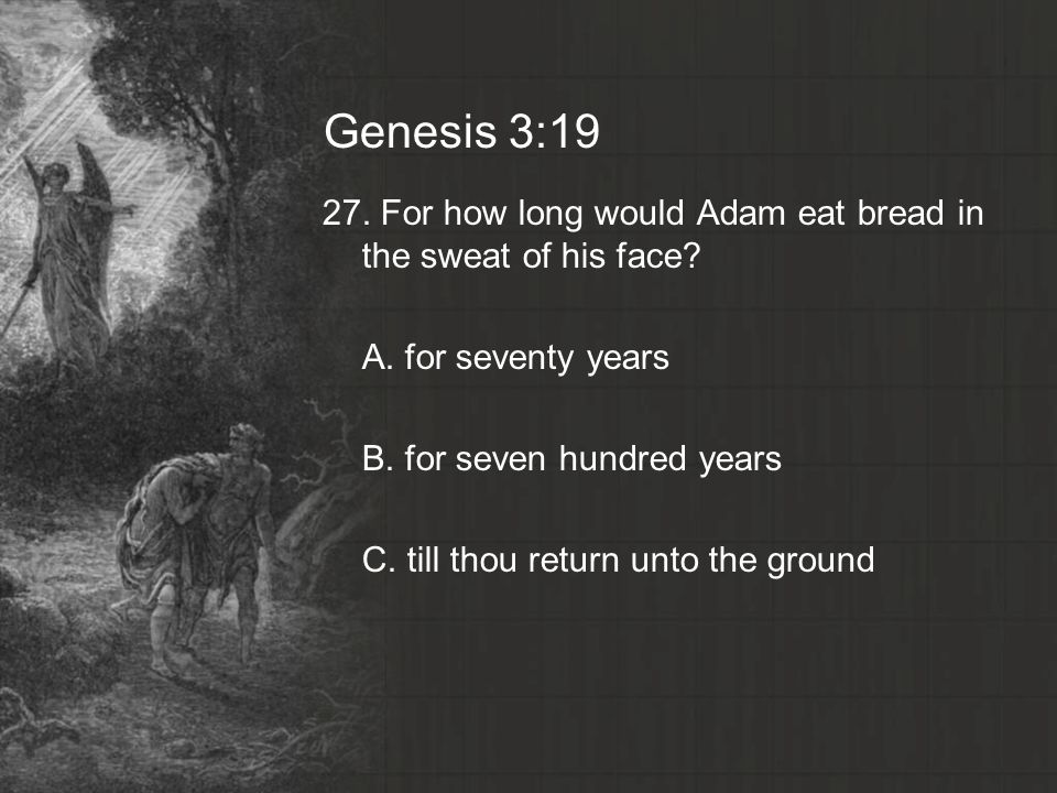 Genesis 3:19