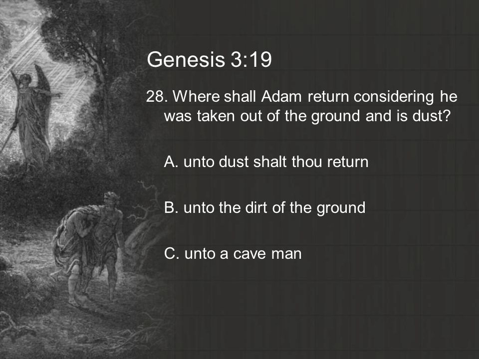 Genesis 3:19