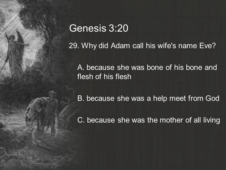 Genesis 3:20