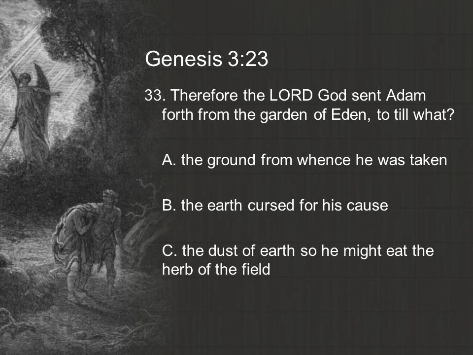Genesis 3:23