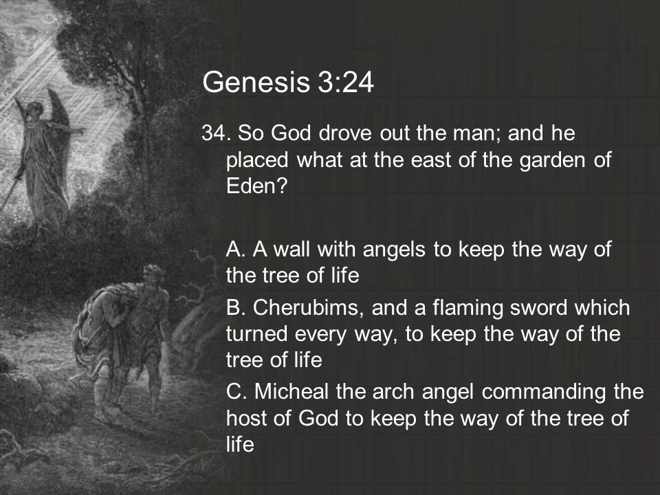 Genesis 3:24