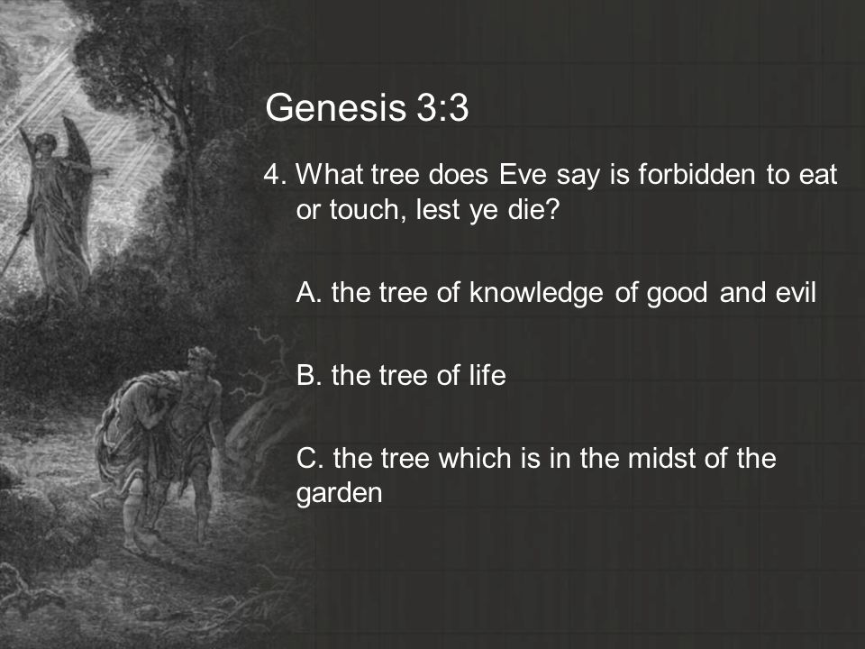 Genesis 3:3