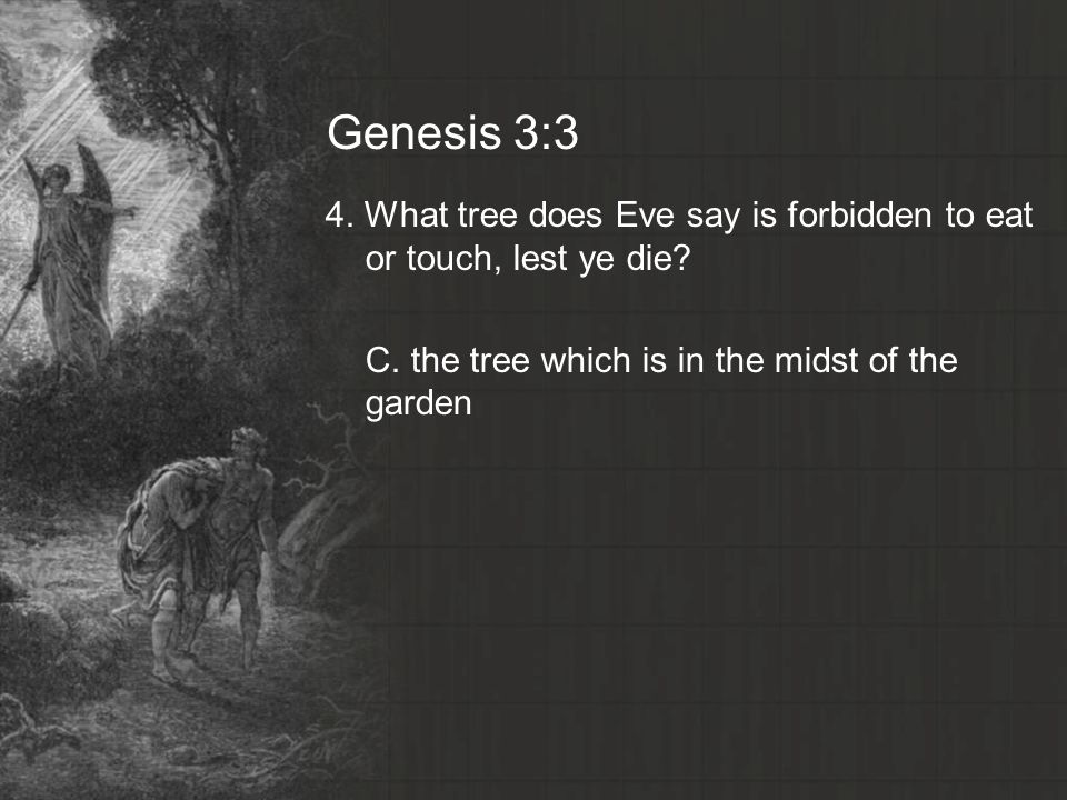Genesis 3:3 4. What tree does Eve say is forbidden to eat or touch, lest ye die.