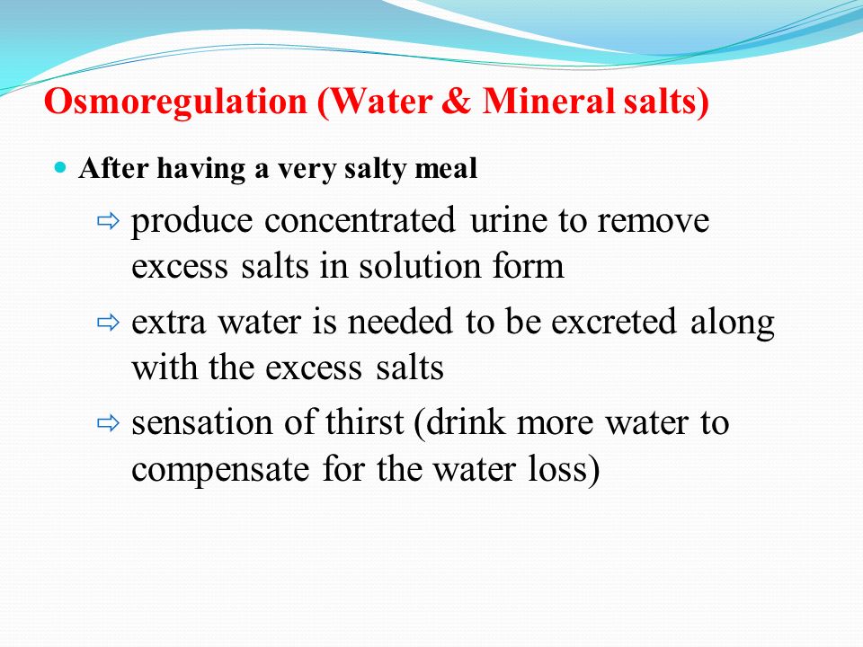 Osmoregulation (Water & Mineral salts)