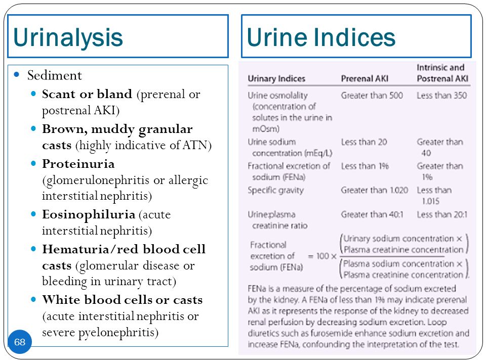 Acute перевод. Normal urine Analysis. Urinalysis normal.