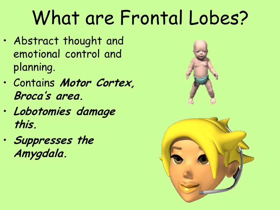 What are Frontal Lobes Abstract thought and emotional control and planning. Contains Motor Cortex, Broca’s area.
