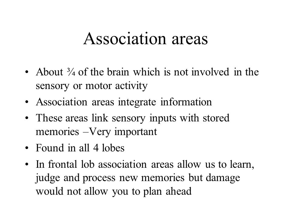 Association areas About ¾ of the brain which is not involved in the sensory or motor activity. Association areas integrate information.